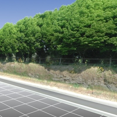 Tree line Roadside.tga
